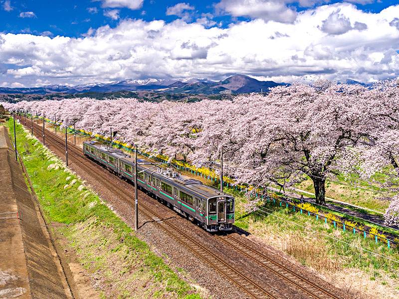 宫城县有哪些旅游景点丨日本留学生活