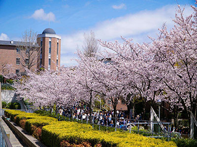 日本大学艺术学部入学条件
