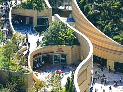 人文社科生日本就业突围：三条小众赛道的精准布局