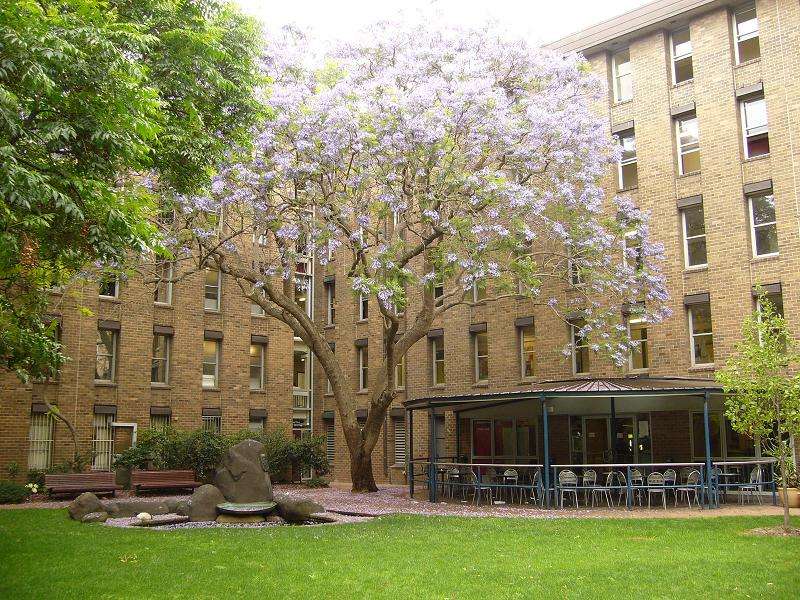 日本大学直申之龙谷大学！（国内直申）