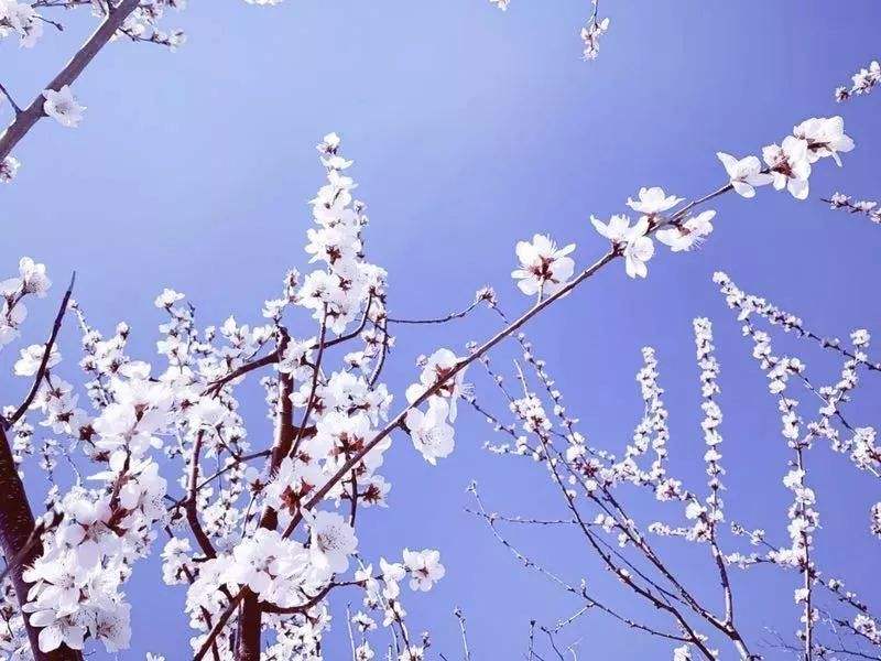 日本留学生考试理科考试考点分析！（必读）