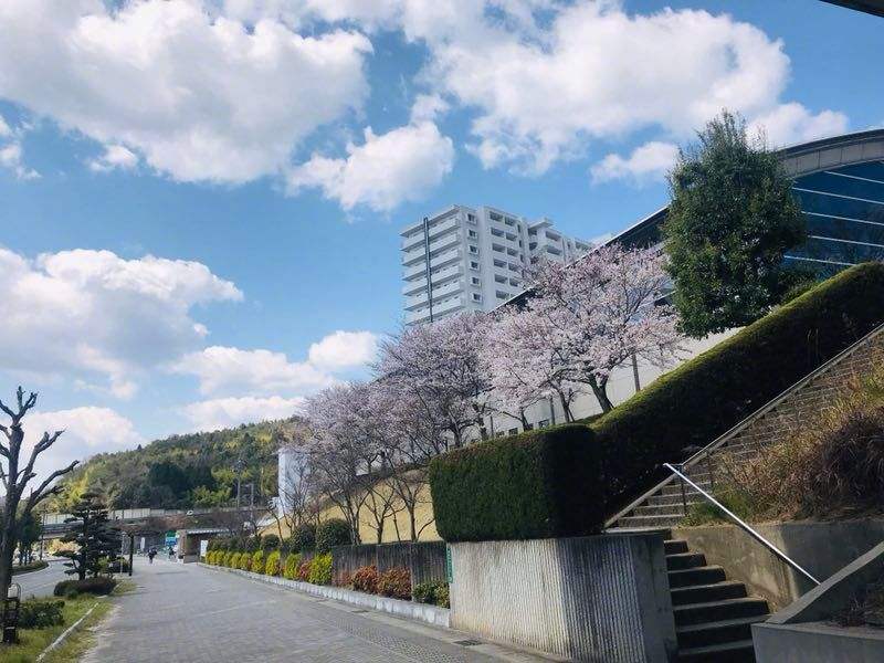 广岛大学学费一年多少钱？（日本留学）