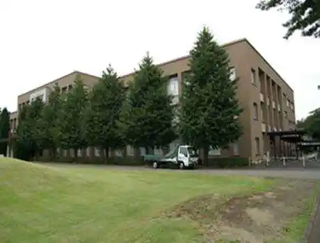 国际基督教大学怎么样？有哪些特点？（日本留学）