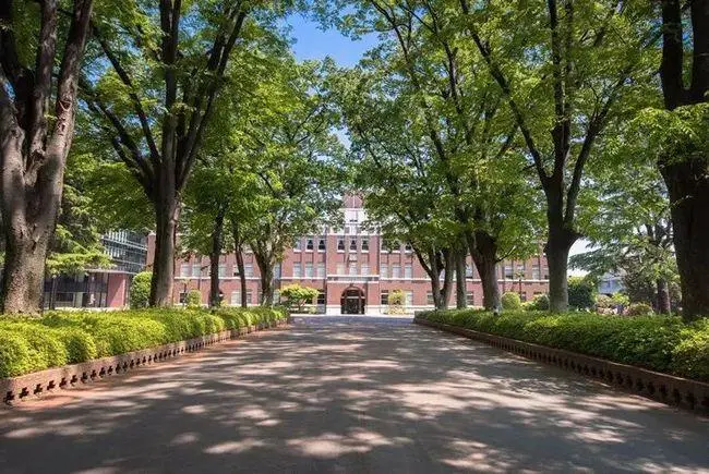 日本专升本留学条件！（日本留学）
