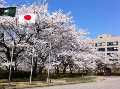 专科生日本留学方案-专科生日本升学就职方案_日本留学