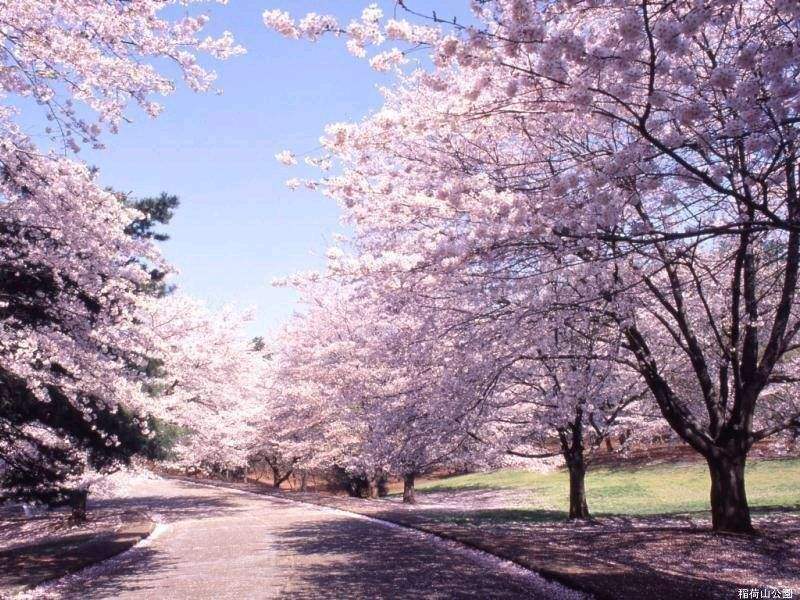 东京工业大学申请条件！（攻略）