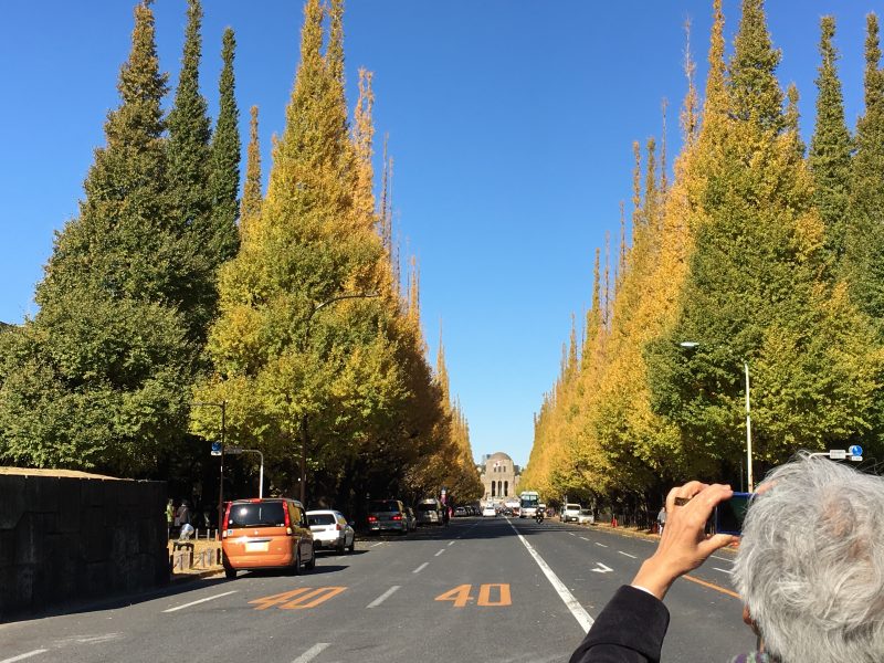 明治学院大学怎么样？（日本留学）