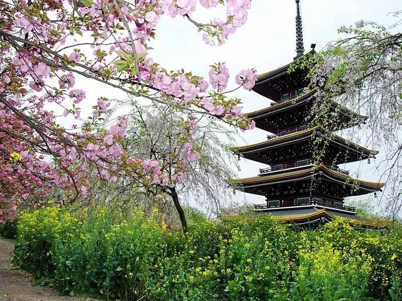 南山大学怎么样？（日本留学）