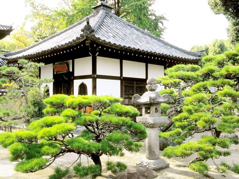 福冈大学申请条件？（日本留学）