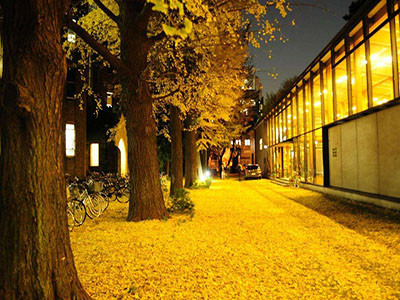 东京大学地址