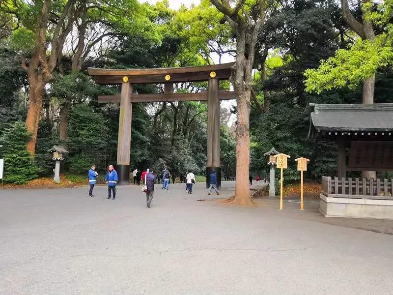 东京音乐大学申请条件！（日本留学）