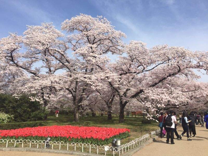 京都市立艺术大学在日本怎么样？（日本留学）