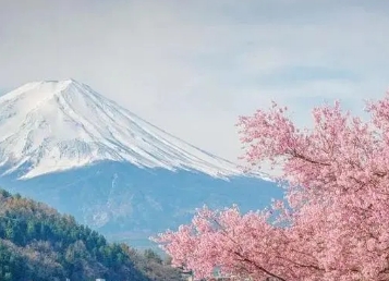 盘点研究生（旁听生）和 日本语言学校的优缺点（日本留学）