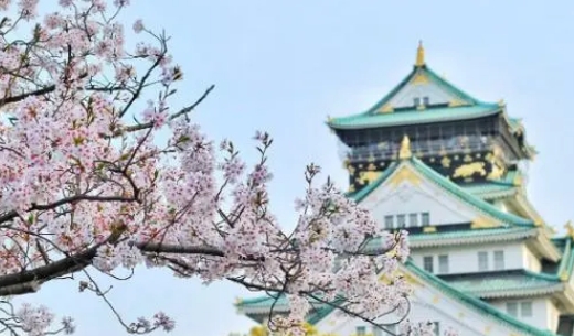 概述日本短期留学