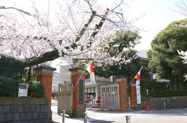2025年泰晤士高等教育世界大学排名：日本国内第一名排名再上升|日本留学