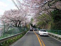 日本有田园调布学园大学吗？（日本留学）