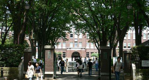 2024年日本各大学文科教育级别排行榜|日本留学